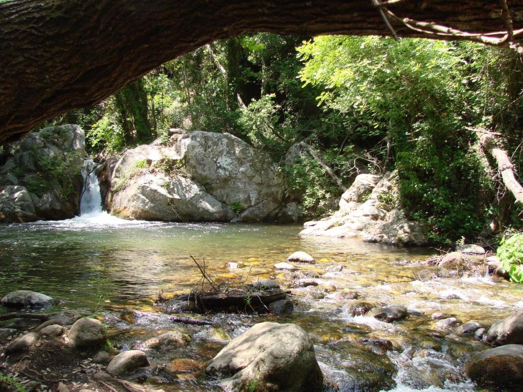 Agriturismo Torre Del Golfo Cropani Dış mekan fotoğraf
