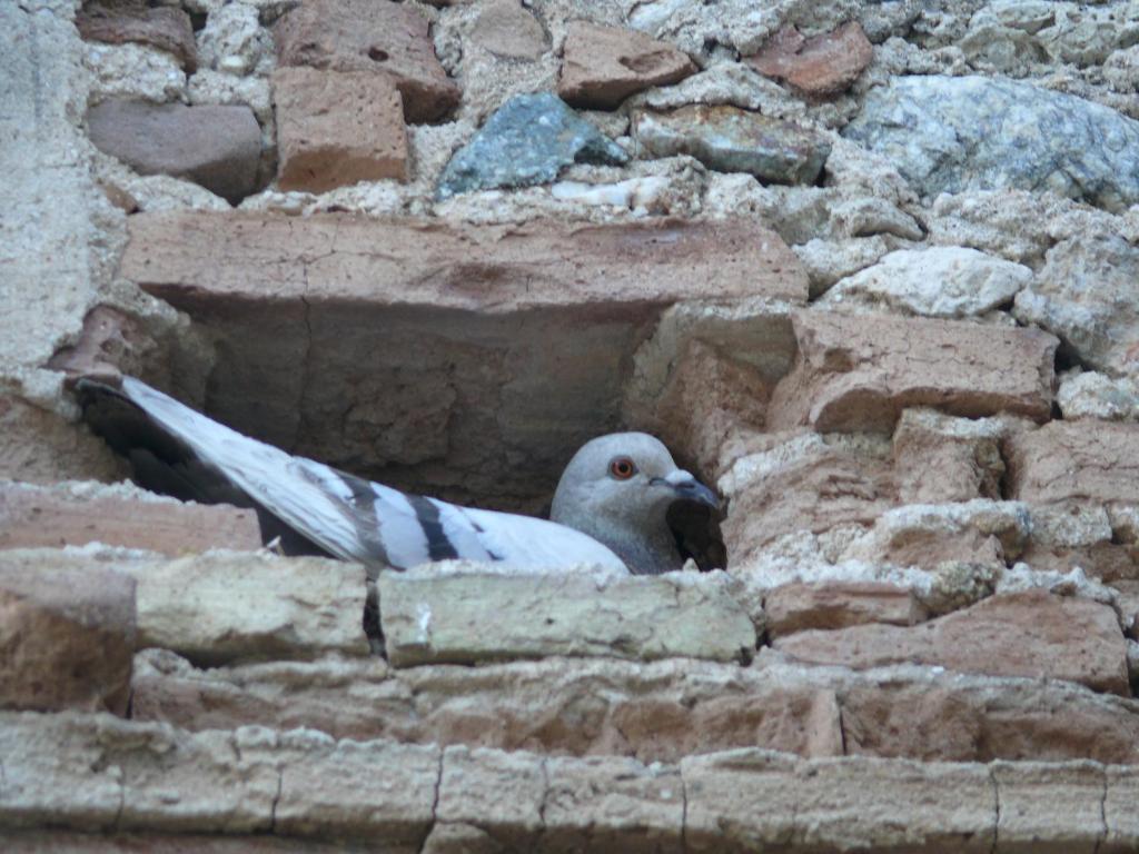 Agriturismo Torre Del Golfo Cropani Dış mekan fotoğraf